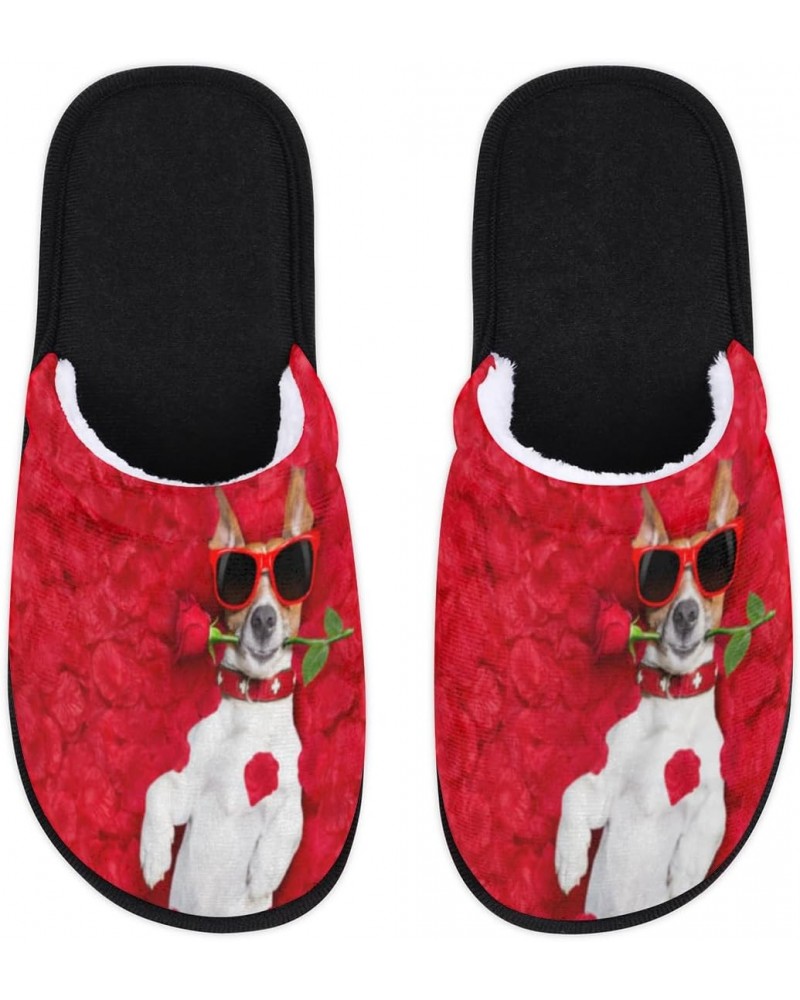 Dog Sunglasses Slippers Home for Women Men Flower Petals Warm Soft Anti Skid House Shoes Washable Reusable for Bedroom Kitche...