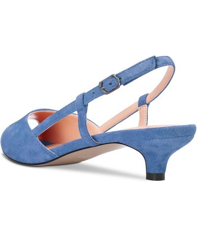 Women Pumps Peep Open Toe Ankle Strap Slingback Kitten Low Heel Dress Shoes Sandals Suede Office Wedding Shopping Light Blue ...