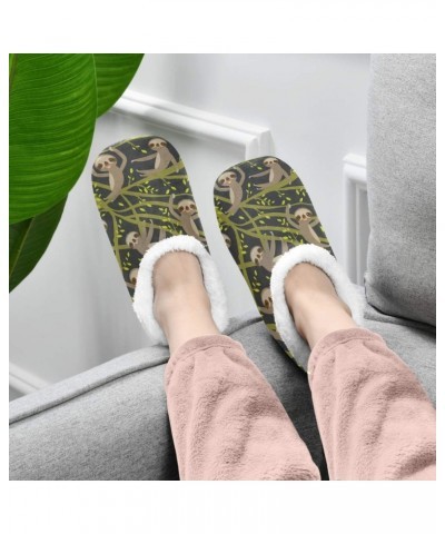 Qmxo Funny Sloth Tree Pattern Slippers for Women and Men, Womens Coral Fleece Indoor Slippers House slippers Socks Fuzzy Feet...