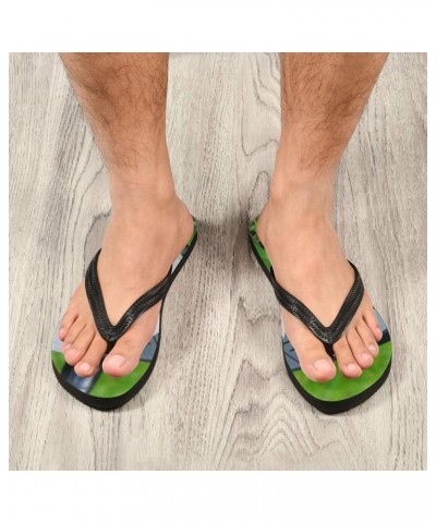 Flip Flops Flip Sandal Home Slippers Hotel Spa Bedroom Travel for Men Women S-XXL Multi 10 $11.99 Slippers