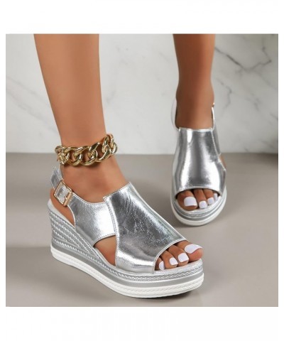 Deadlift Platform Gold Wedges Shoes For Women Platform Shoes 70S Water Sandals For Women Black Heeled Sandals 5-silver $18.32...