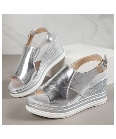 Deadlift Platform Gold Wedges Shoes For Women Platform Shoes 70S Water Sandals For Women Black Heeled Sandals 5-silver $18.32...